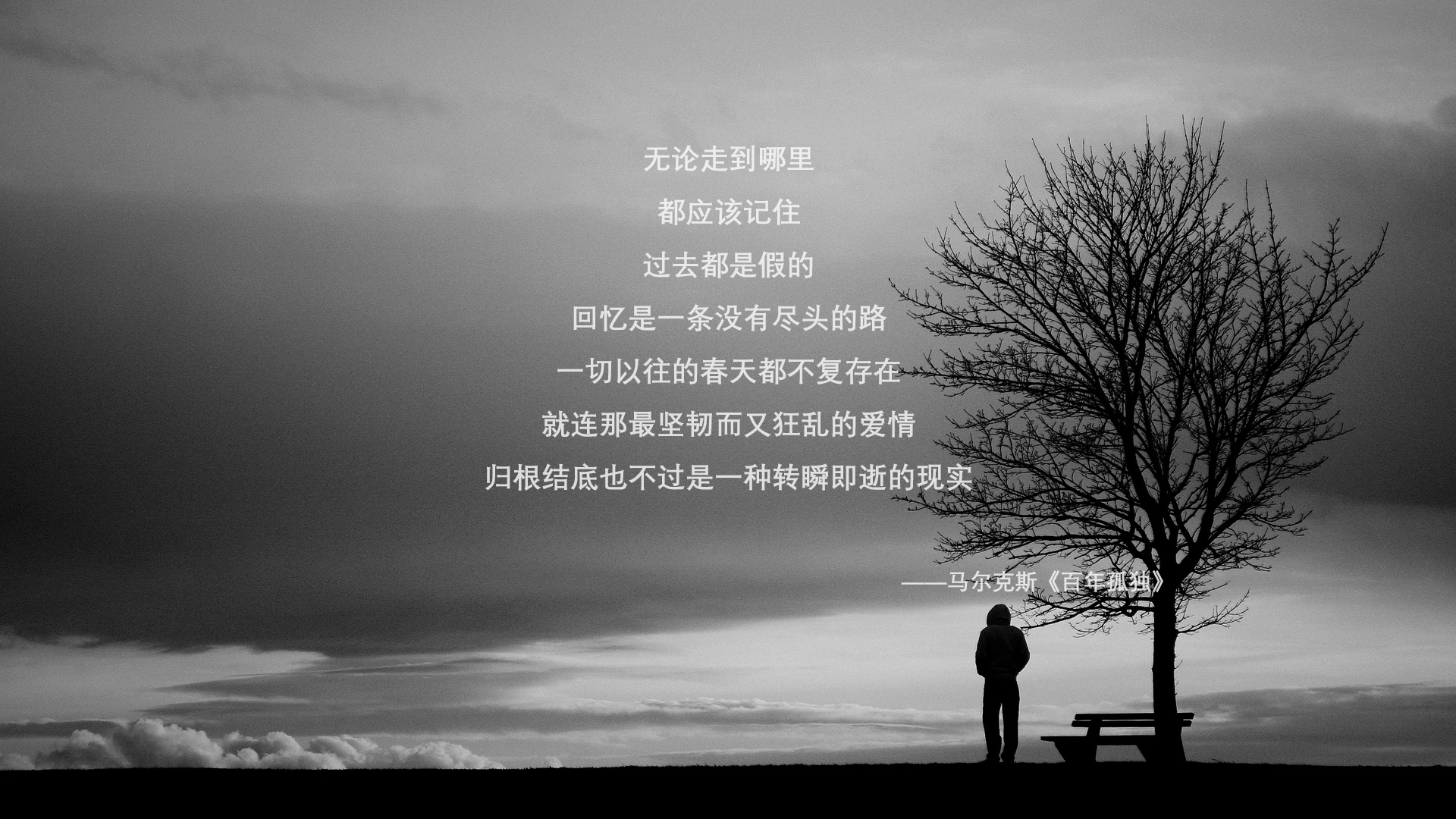 中超比赛视野与数据整合模型，中超数据app