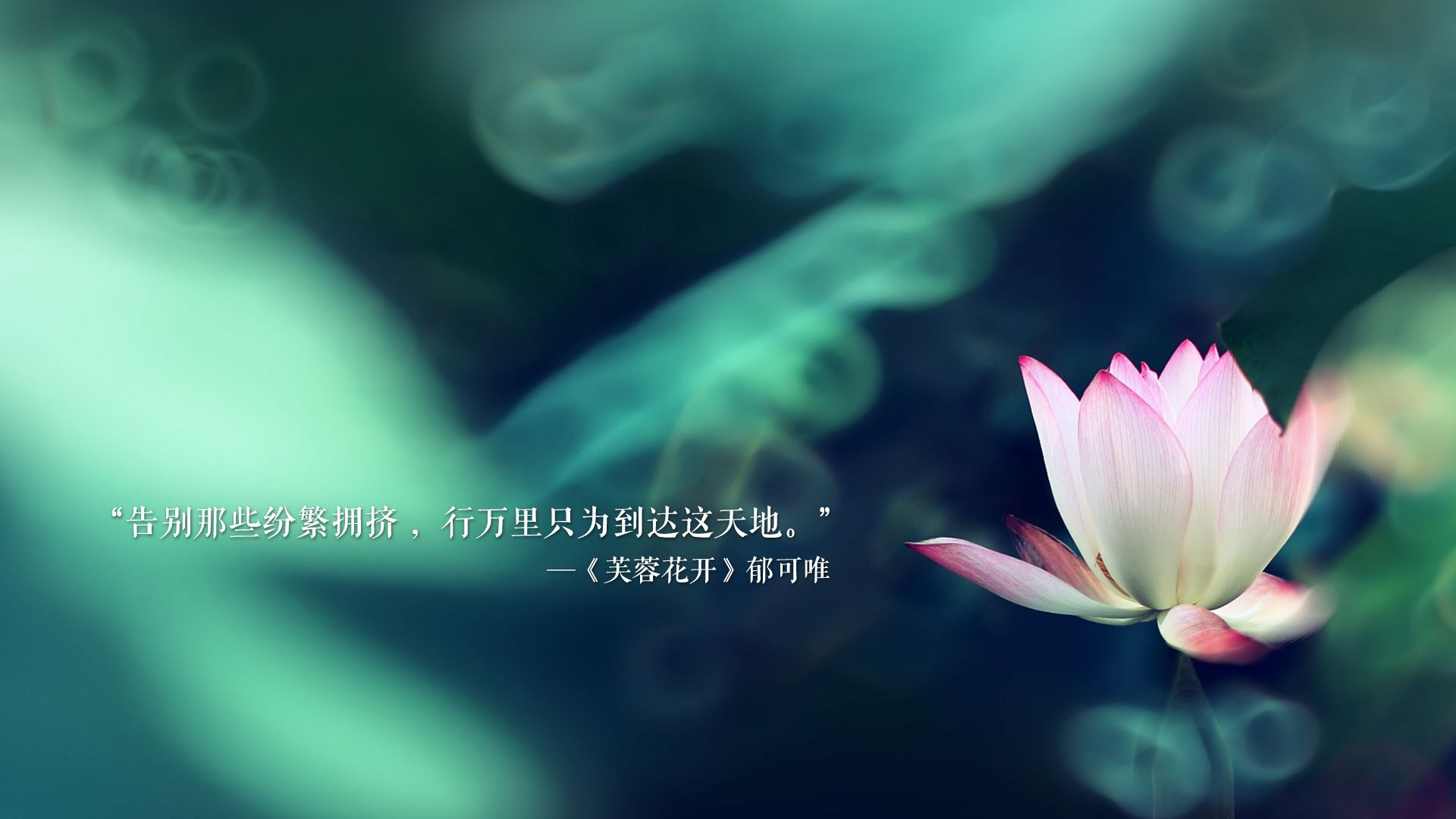 中超球员年度技术评分标准体系，中超球员技术统计