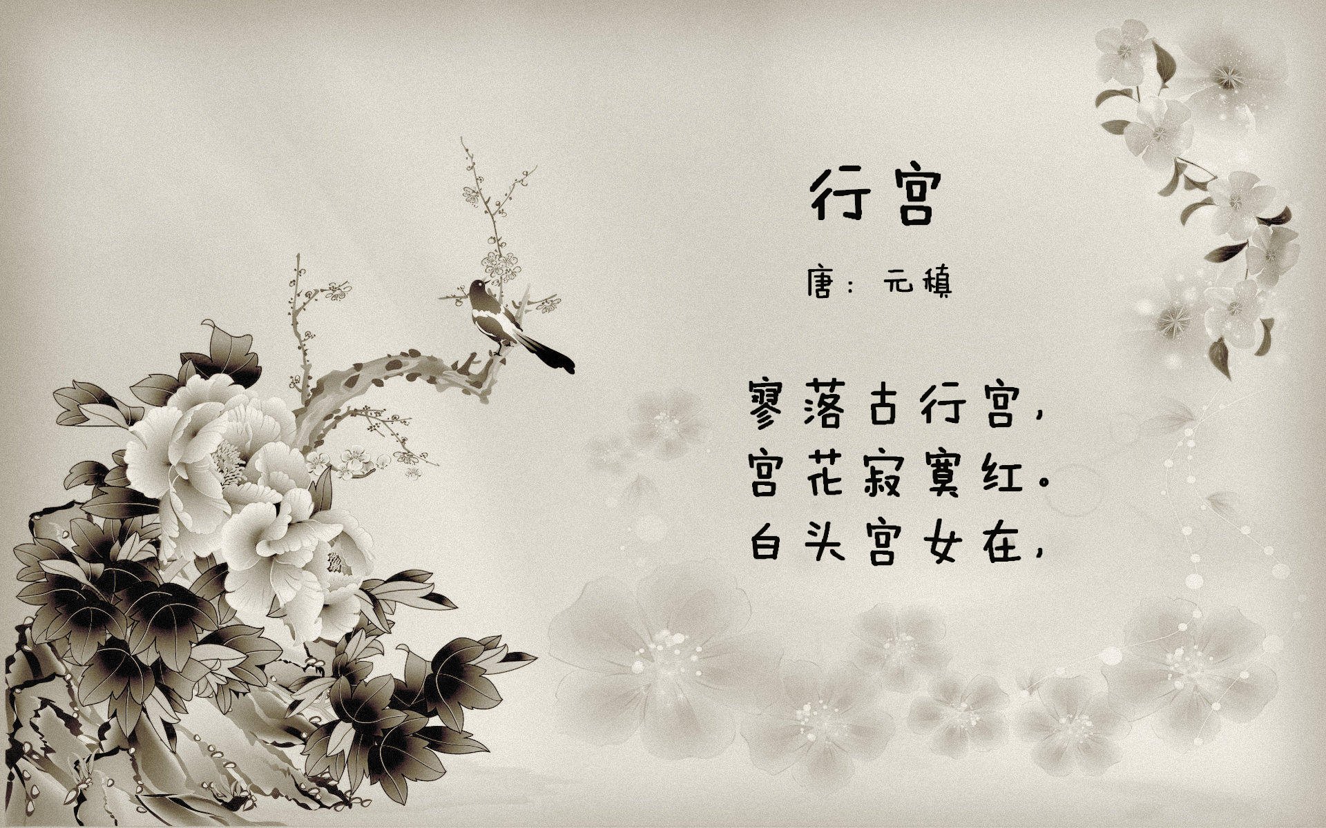 “泳池火花四溅!2025世界游泳锦标赛见证新纪录诞生”