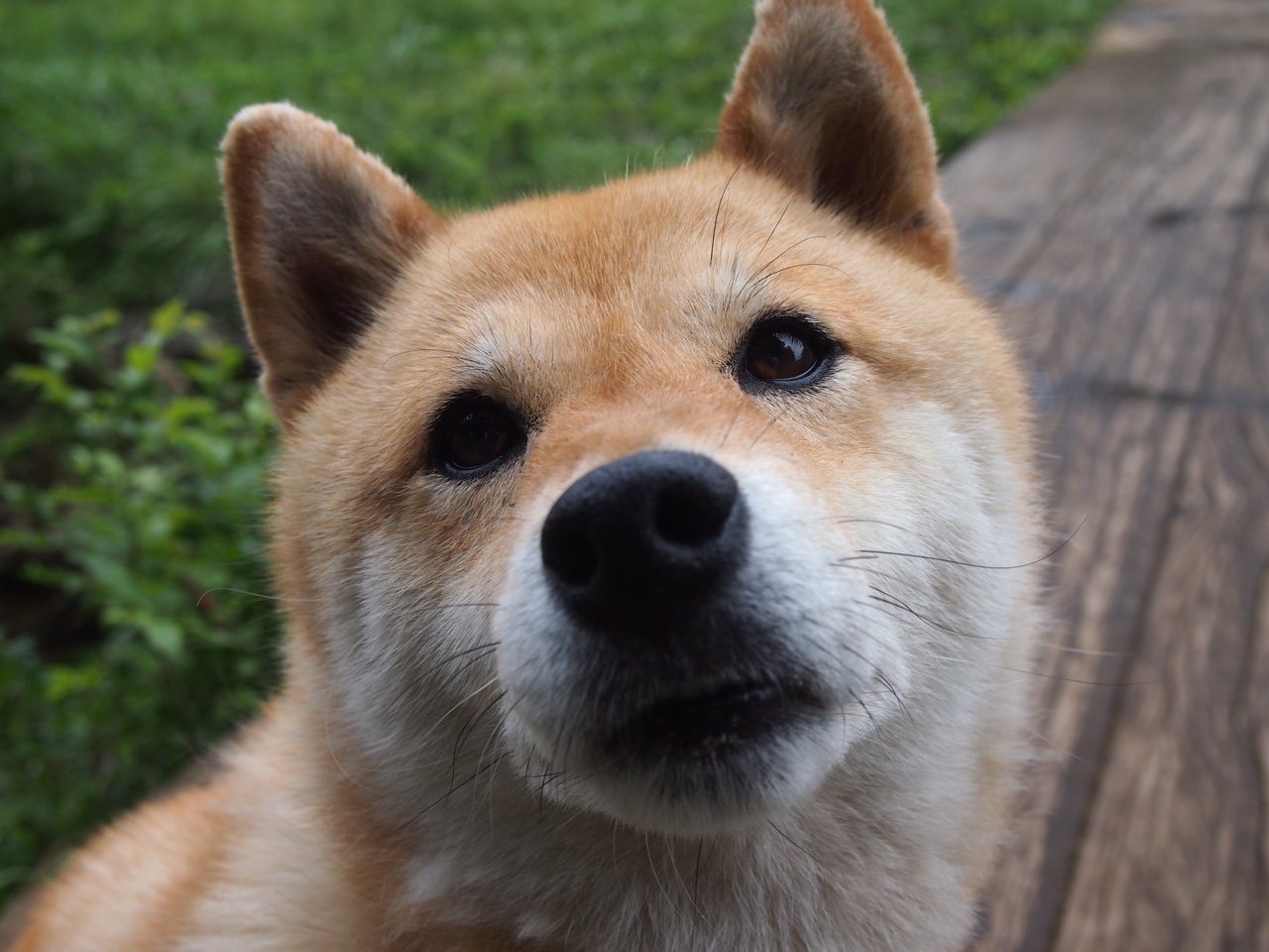 kaiyun开云体育-世界杯预选赛中超惨败 球迷情绪复杂，世界杯预选赛中超外援