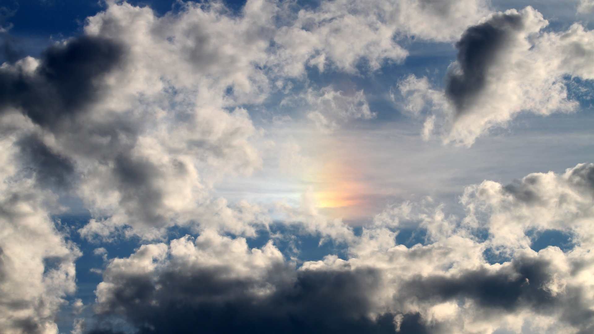 开云体育网址-中国男篮主教练制定详细战术计划，中国男篮主教练辞职