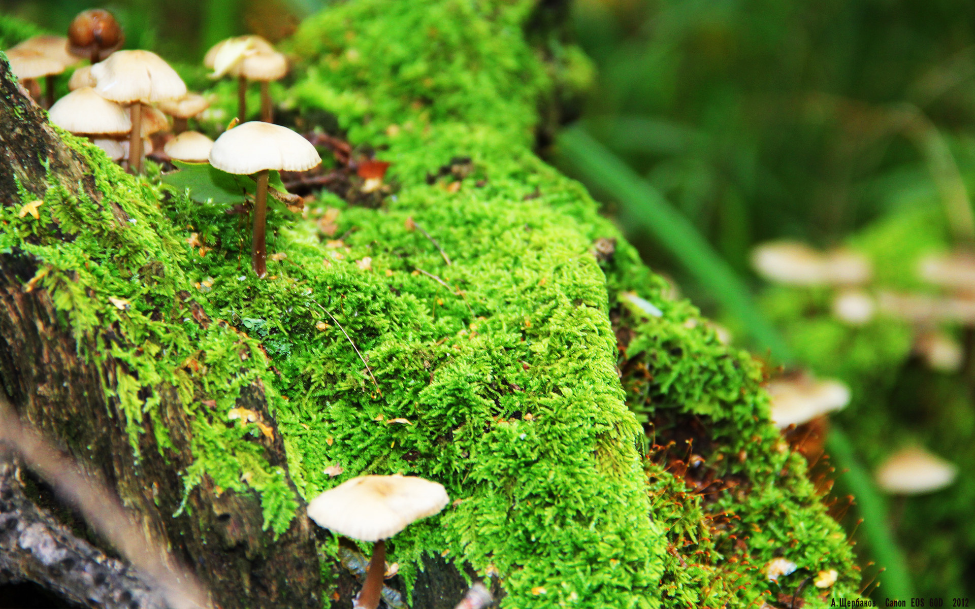 北京鸭教练团队关注细节制定个性化训练计划,北京鸭班