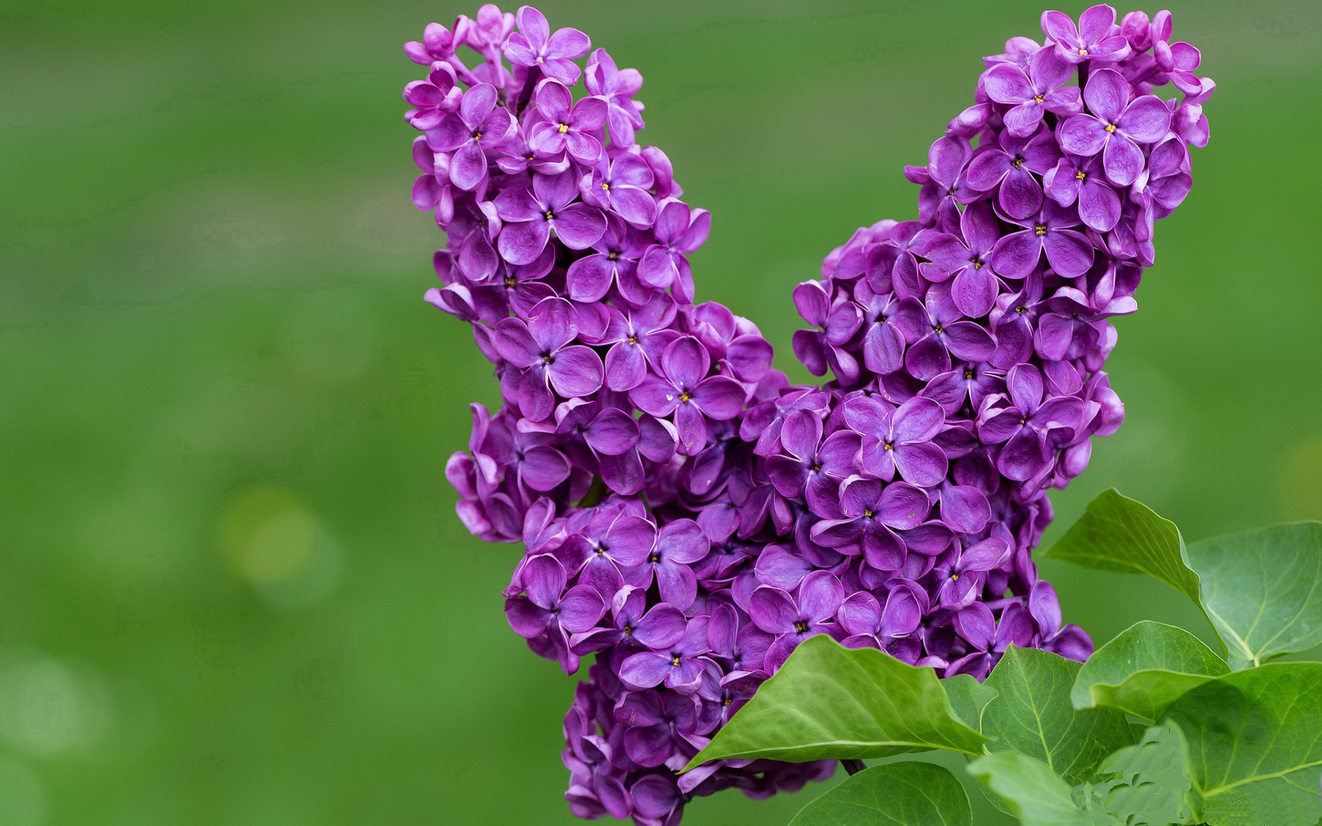开云体育-电竞女队首次亮相国际赛事 引发热议，女电竞战队