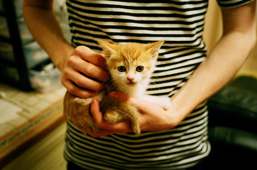 雷恩边后卫助攻频繁制造进攻优势,雷恩出过的球星