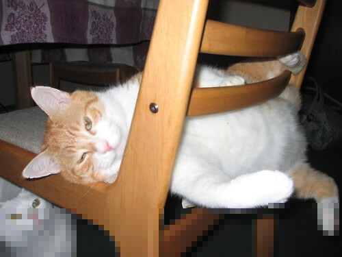 体育品牌赞助青训项目开展装备公益发放计划,体育用品捐款排名