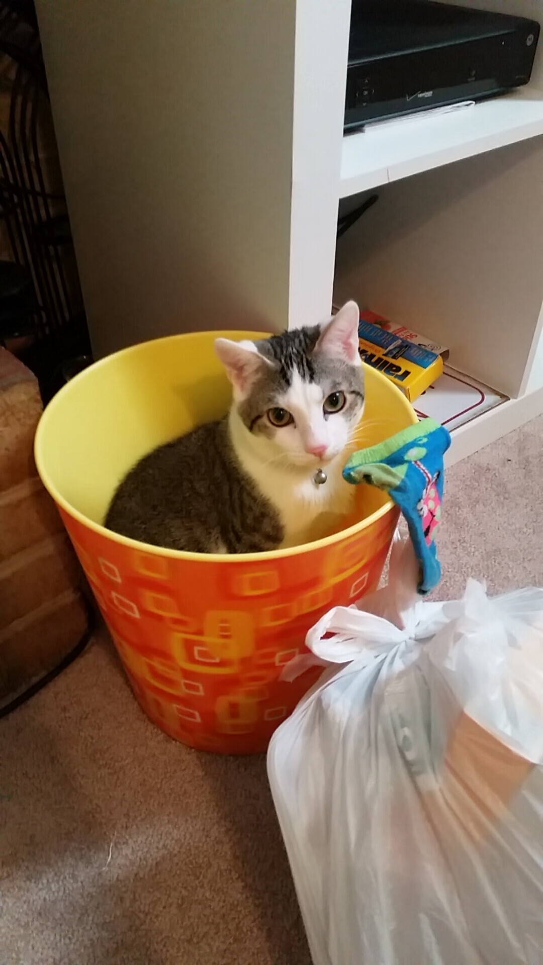 大学篮球技术统计课程首次开班培养未来数据分析专才,篮球比赛技术统计表格怎么看