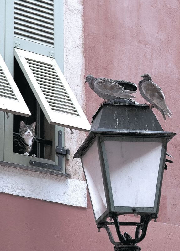 开云ky官网-恩多比·恩乔：每场比赛都展现出世界级的踢球能力，帮助南非队稳固优势