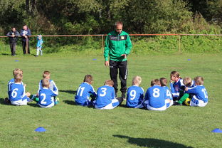 开云体育app官网-欧洲杯冠军悬念：战术配合与个人能力巅峰对决，欧洲杯冠军大热门