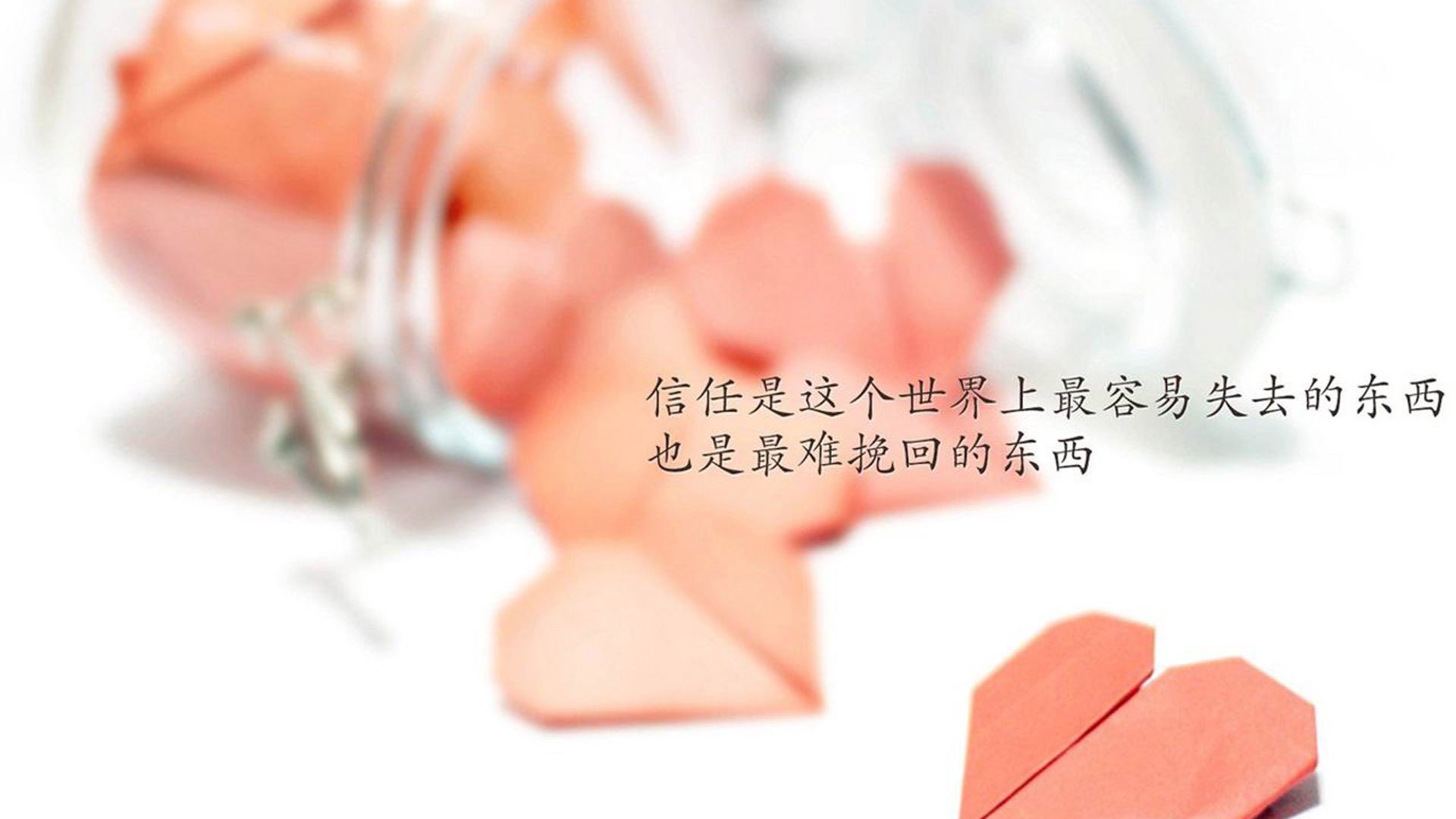 欧洲杯冠军悬念:战术配合与个人能力巅峰对决,欧洲杯冠军大热门