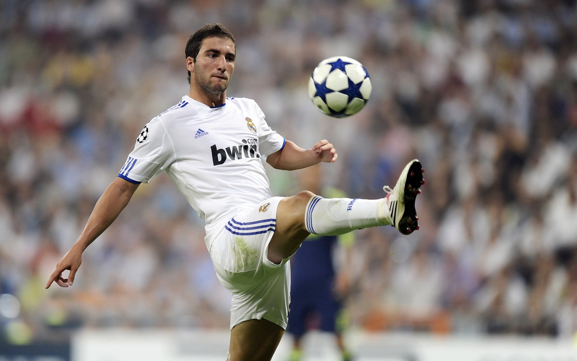 爱尔兰橄榄球吸引国际赞助商投资,爱尔兰体育项目