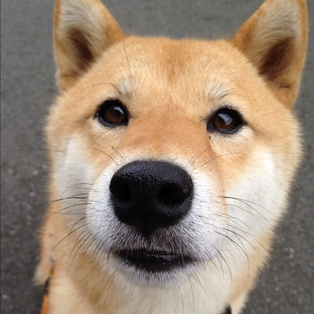 王楚钦完成国家队测评顺利达标,王楚钦 资格赛