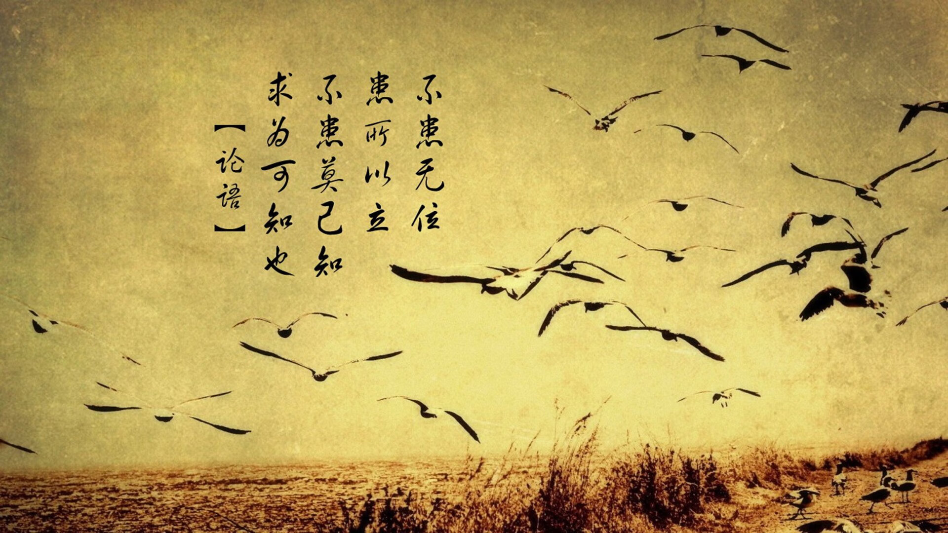 电竞数据分析人才紧缺推动高校开设新课,电竞赛事游戏数据分析师