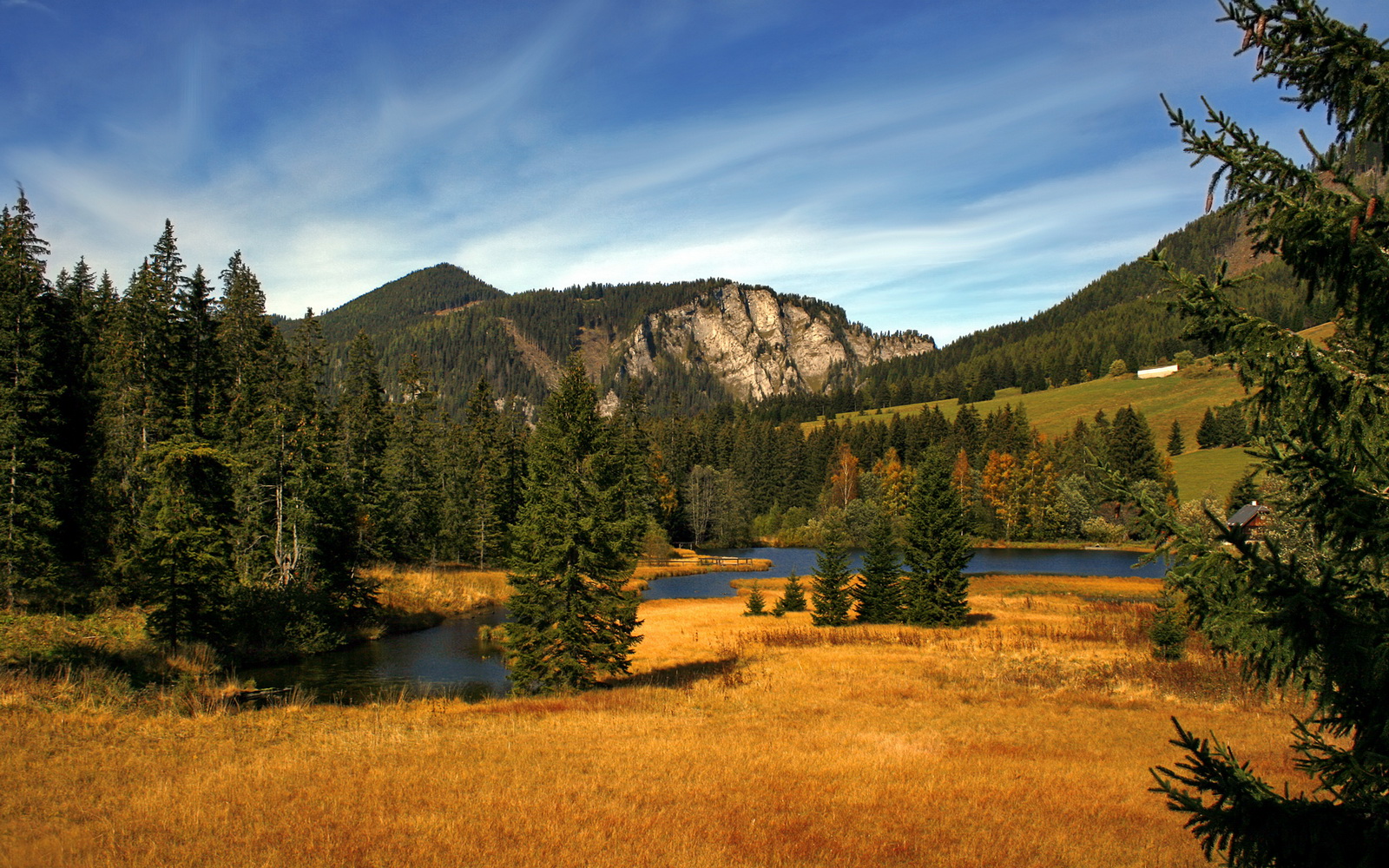 篮球教练认证课程开设线上版扩大培训覆盖范围,篮球教练证报名入口