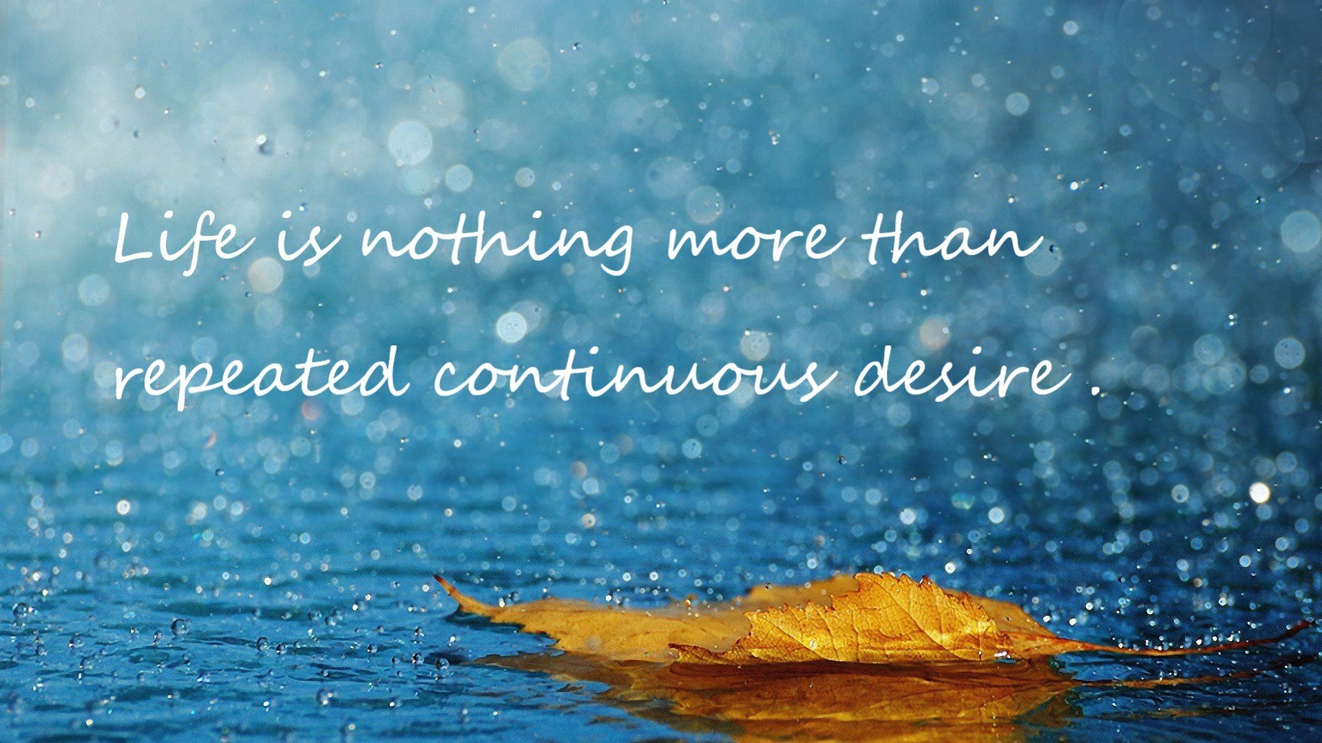 纳米比亚男篮在非洲锦标赛中奋战,争取历史突破