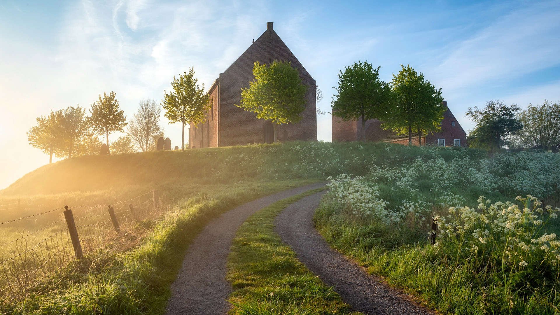 开云官网-职业球员直播平台粉丝破百万个人影响力转化为商业价值，直播球迷